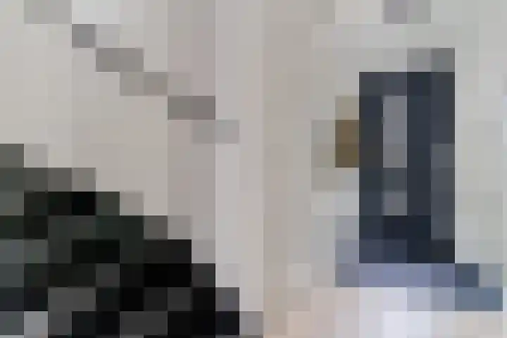 Peerdeweide 6 Alkmaar thumbnail 7