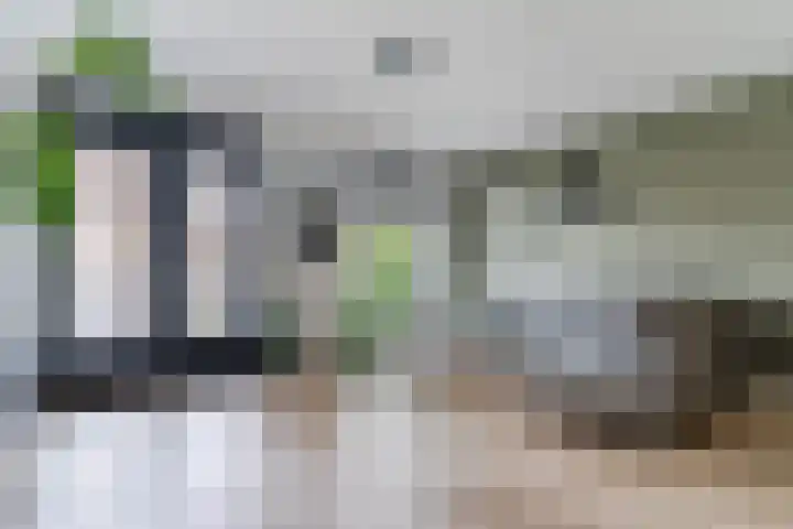 Peerdeweide 6 Alkmaar thumbnail 9