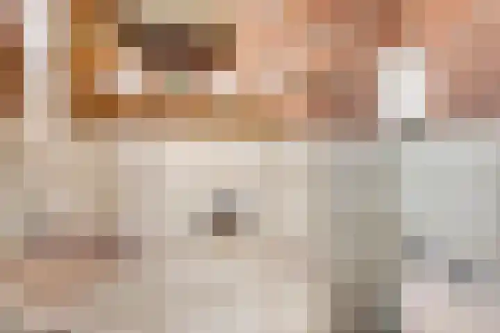 Peereboom 24 Melick thumbnail 13
