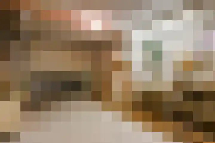 Peereboom 24 Melick thumbnail 30