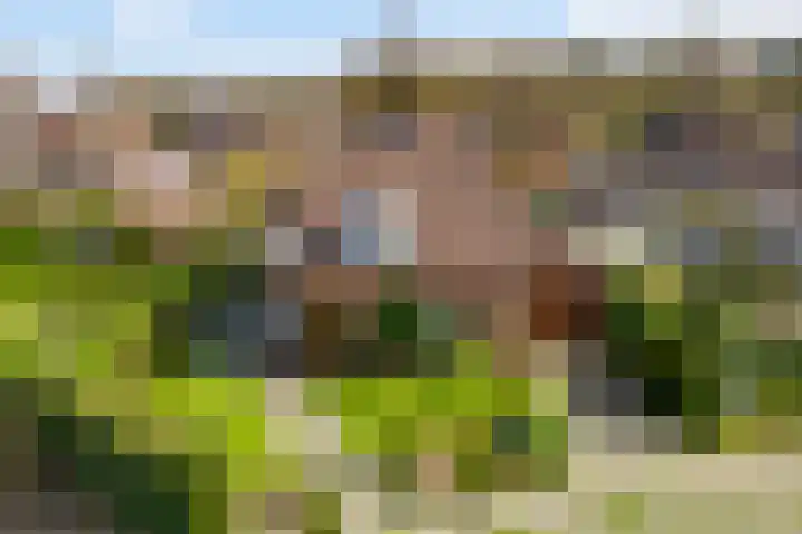 Peereboom 24 Melick thumbnail 39