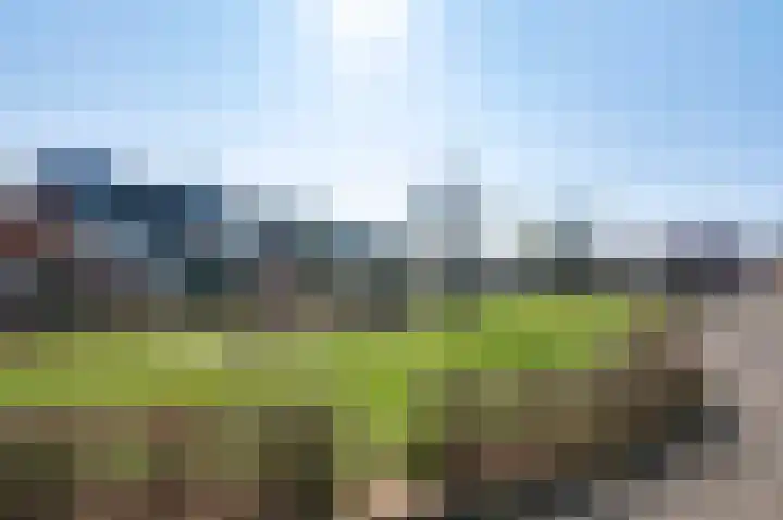 Peereboom 24 Melick thumbnail 43