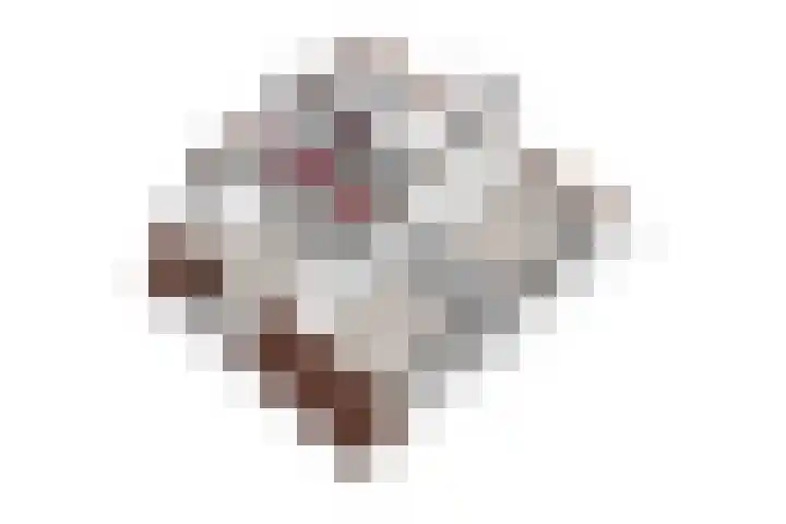 Peereboom 24 Melick thumbnail 49