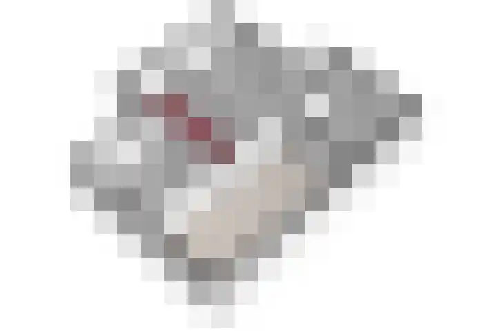 Peereboom 24 Melick thumbnail 51