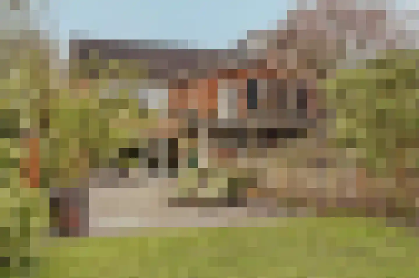 Peerenboom 7 Hank