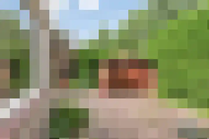 Peerlenburgh 12 Maarssen thumbnail 31