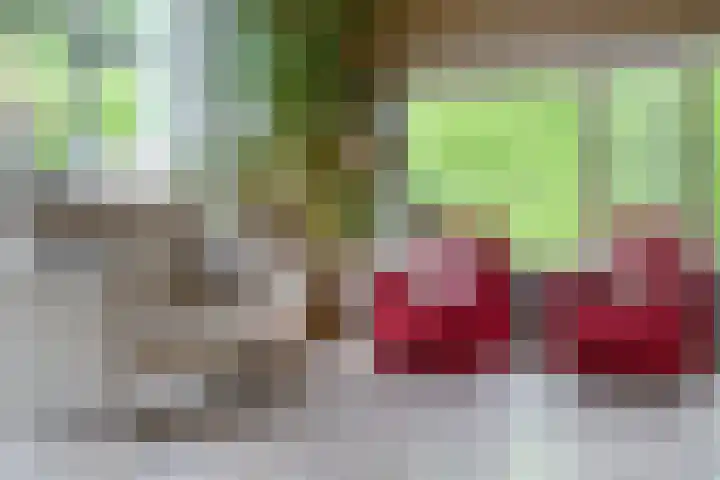 Peerlenburgh 12 Maarssen thumbnail 8