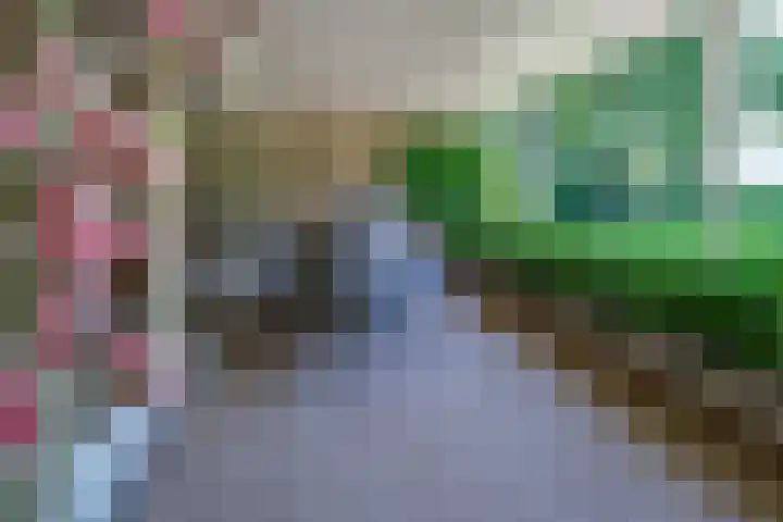 Peeskesweg 6 d Beek thumbnail 20