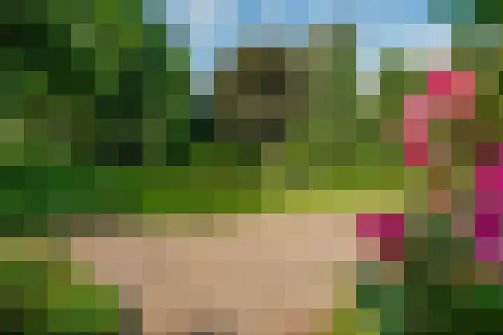 Peeskesweg 6 d Beek thumbnail 24