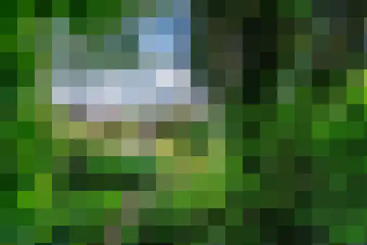 Peeskesweg 6 d Beek thumbnail 30