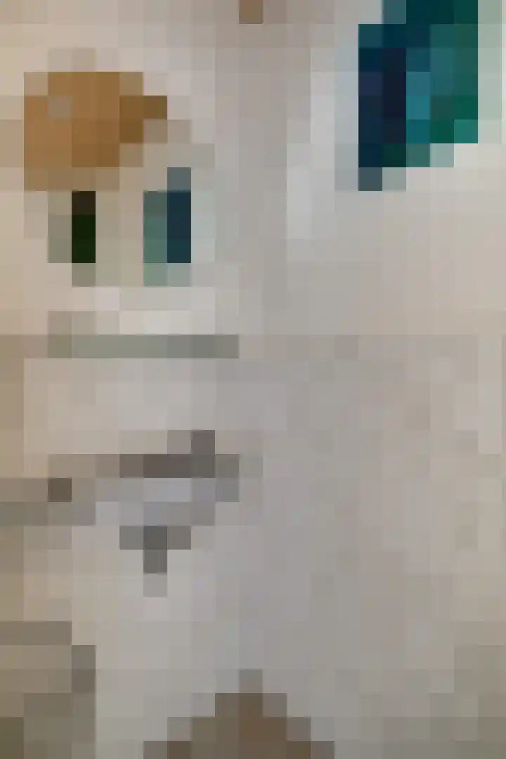 Peeskesweg 6 d Beek thumbnail 37