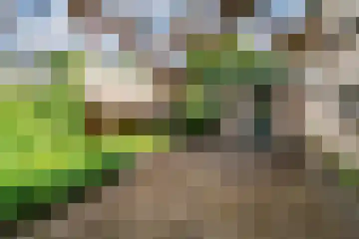 Peeskesweg 6 d Beek thumbnail 50