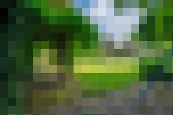 Peeskesweg 6 d Beek thumbnail 51