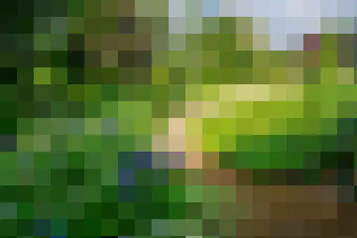 Peeskesweg 6 d Beek thumbnail 52