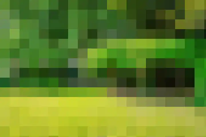 Peeskesweg 6 d Beek thumbnail 55