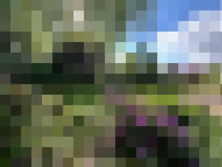 Peeskesweg 6 d Beek thumbnail 59