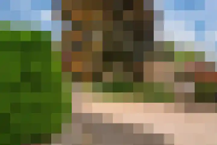 Peeskesweg 6 d Beek thumbnail 8