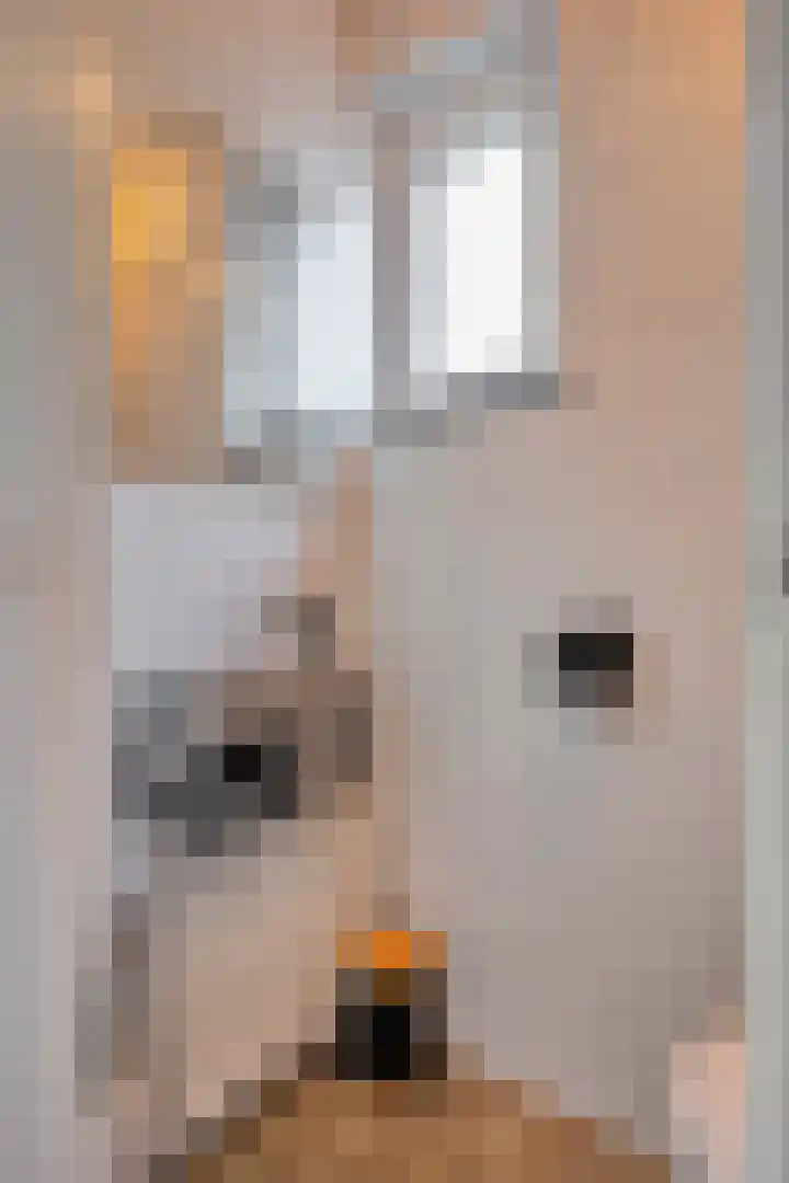 Peetersstraat 1 Wijnandsrade thumbnail 13