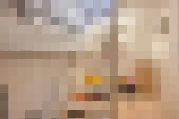 Peetersstraat 1 Wijnandsrade thumbnail 26