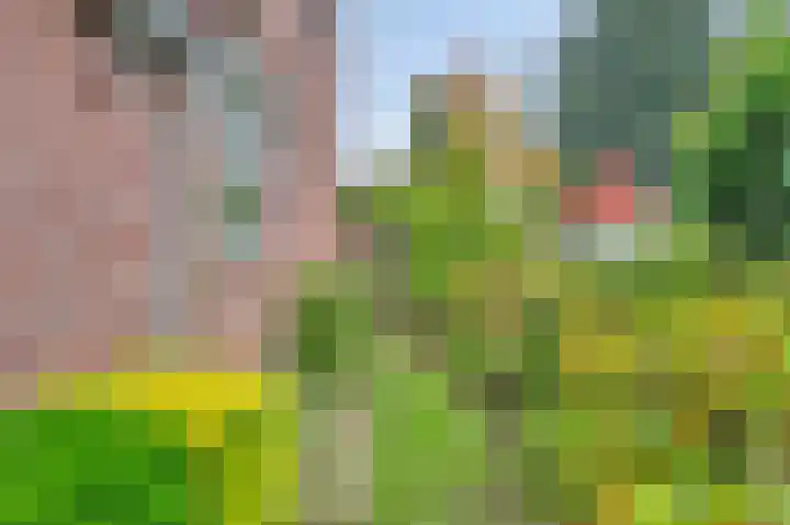 Peetersstraat 1 Wijnandsrade thumbnail 9