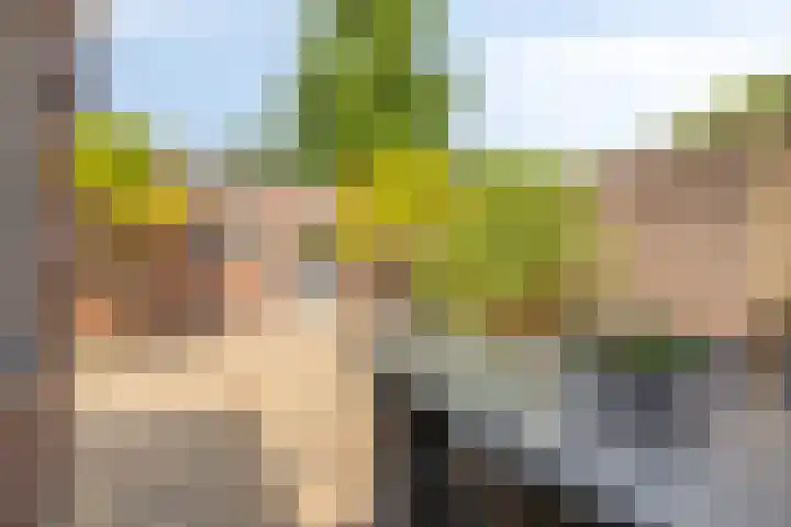 Pegasus 16 Veldhoven thumbnail 19
