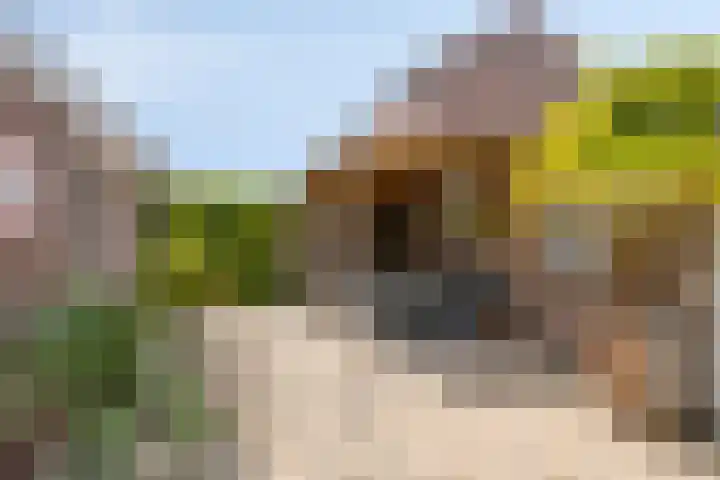 Pegasus 16 Veldhoven thumbnail 21