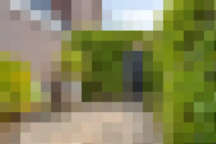 Pegasus 16 Veldhoven thumbnail 24