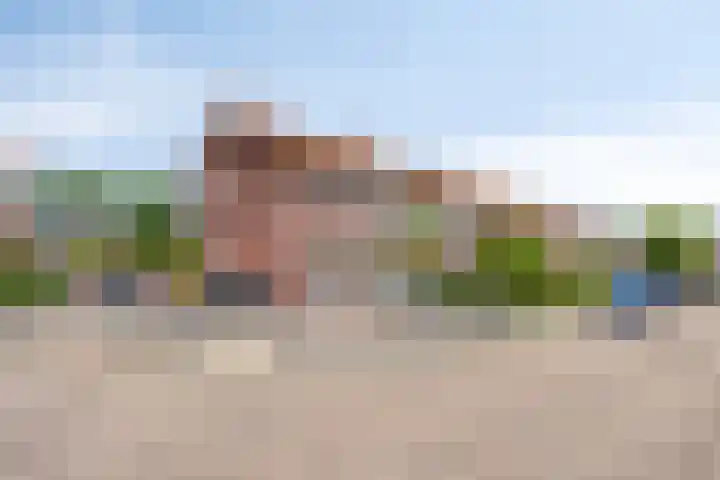 Pegasus 16 Veldhoven thumbnail 29
