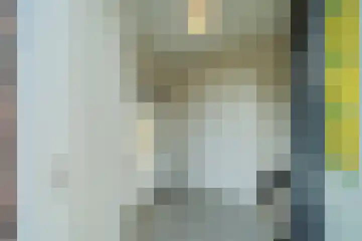 Pegasus 26 Veldhoven thumbnail 4