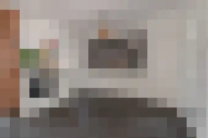 Pegasus 29 Veldhoven foto 2