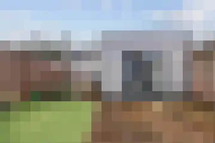 Pegasus 29 Veldhoven thumbnail 20
