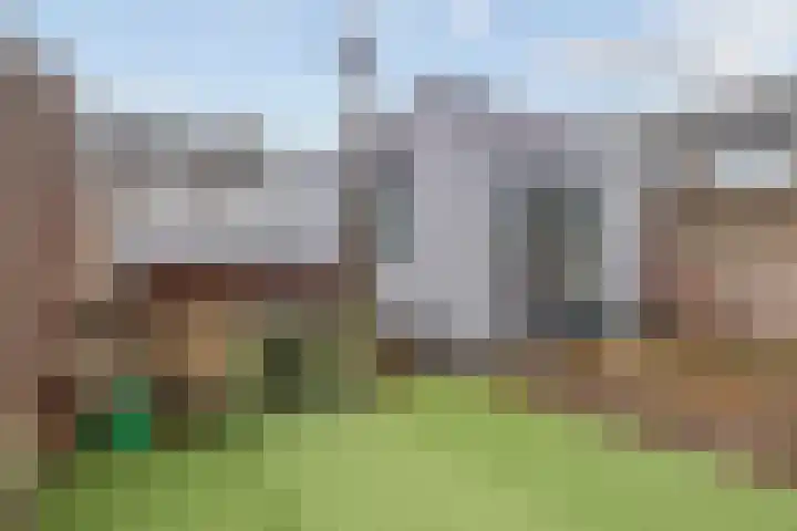 Pegasus 29 Veldhoven thumbnail 21