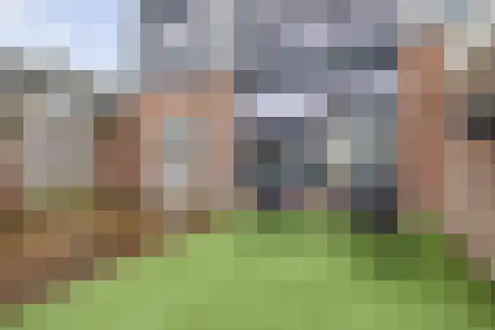 Pegasus 29 Veldhoven thumbnail 22