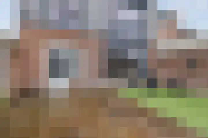 Pegasus 29 Veldhoven thumbnail 23
