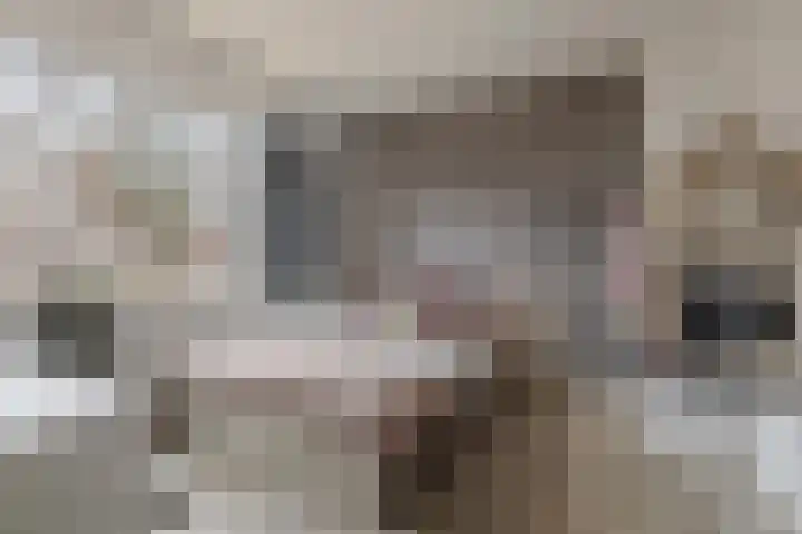 Pegasus 29 Veldhoven thumbnail 29