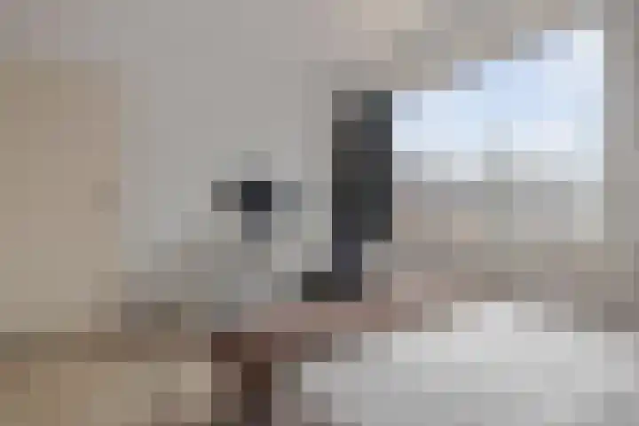 Pegasus 29 Veldhoven thumbnail 30