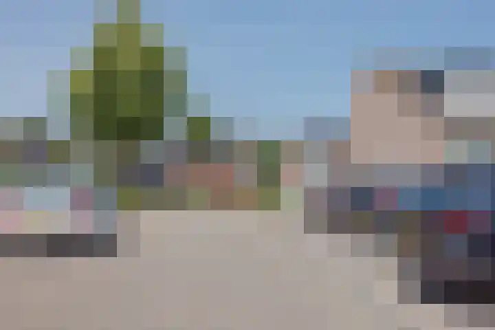 Pegasus 29 Veldhoven thumbnail 43