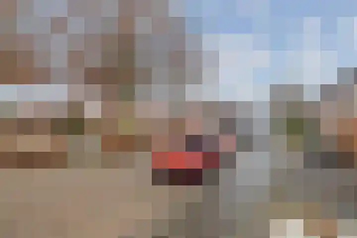 Pegasus 29 Veldhoven thumbnail 46