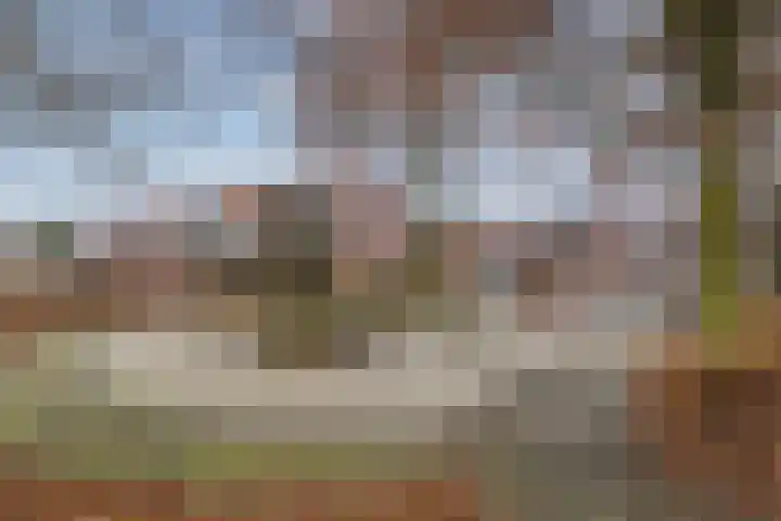 Pegasus 29 Veldhoven thumbnail 47