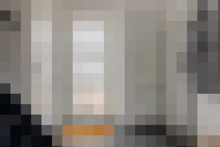 Pegasus 29 Veldhoven thumbnail 5