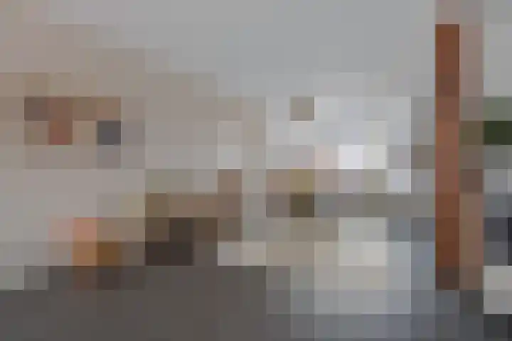 Pegasus 29 Veldhoven thumbnail 9