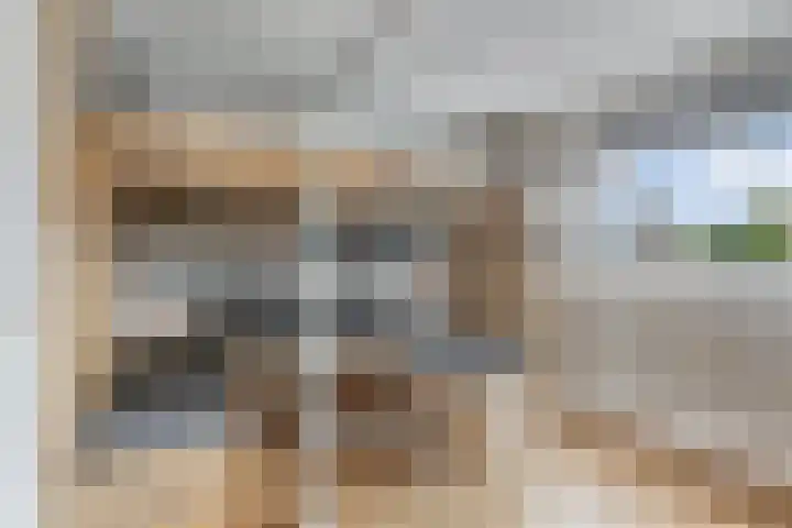 Pegasus 34 Lemmer thumbnail 31