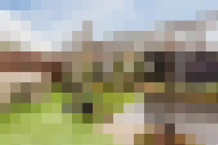 Pegasus 39 Zeewolde thumbnail 39