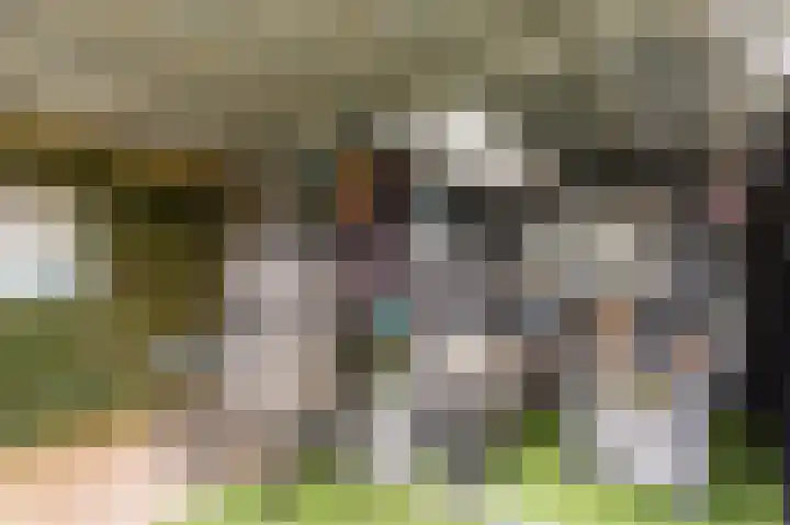 Pegasus 39 Zeewolde thumbnail 40
