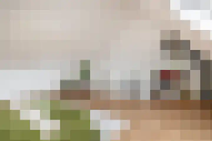 Pegasus 9 Schijndel thumbnail 26