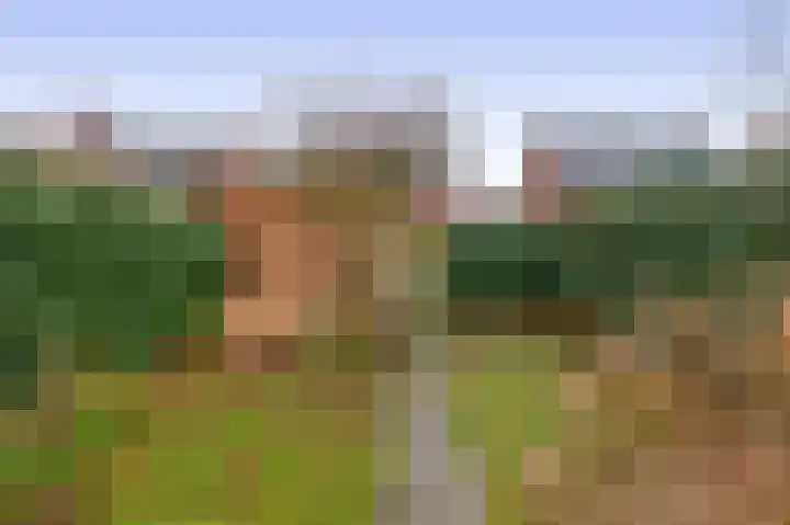 Pegasus 9 Schijndel thumbnail 29