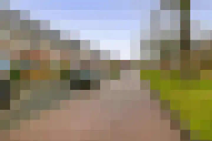 Pegasus 9 Schijndel thumbnail 33