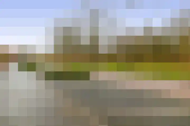 Pegasus 9 Schijndel thumbnail 35