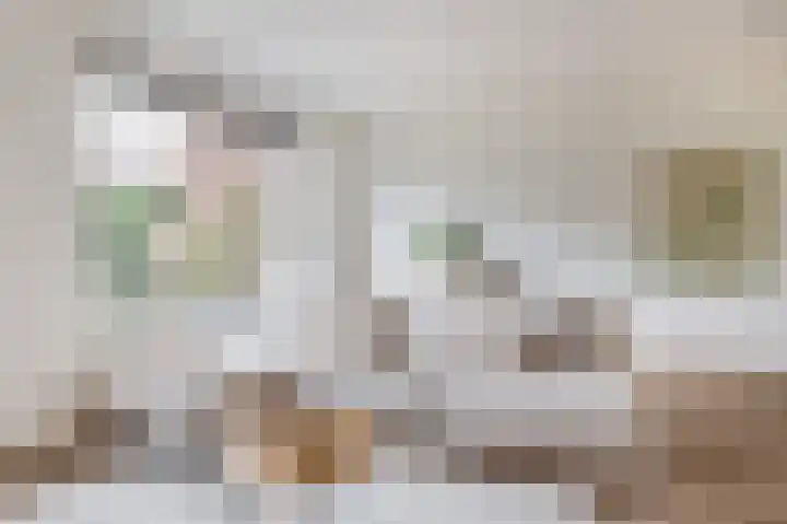 Pegasus 9 Schijndel thumbnail 6