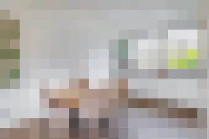 Pegasus 9 Schijndel thumbnail 8